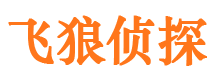 桂平市婚外情调查